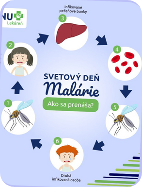 BENU – ukážka príspevku 5