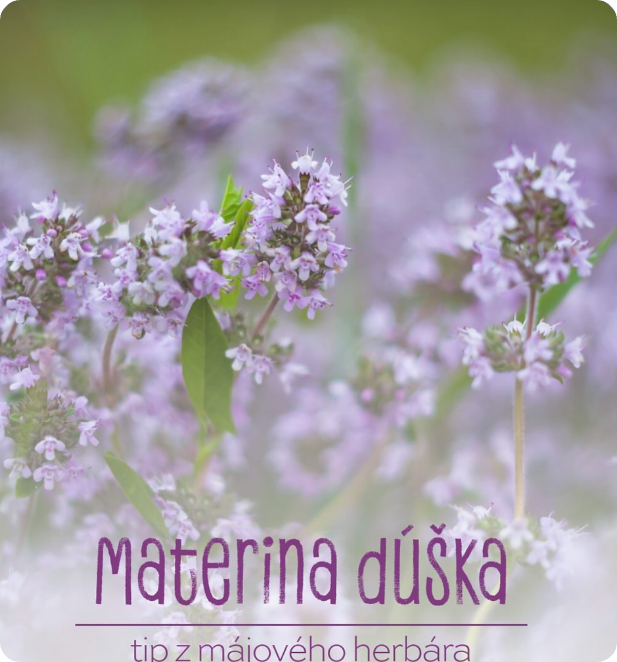 Rajec – ukážka príspevku 3