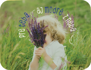 Rajec – ukážka príspevku 4