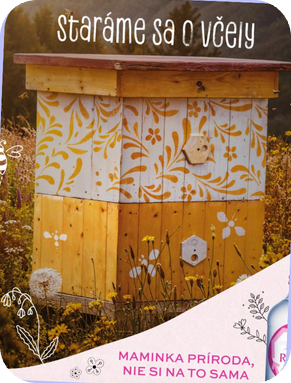Rajec – ukážka príspevku 5